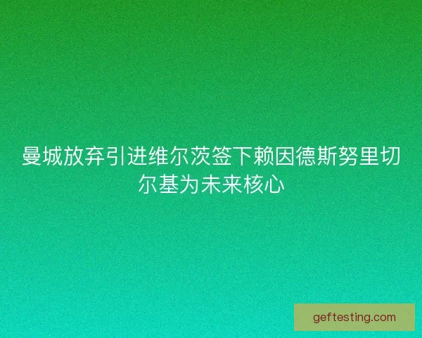 曼城放弃引进维尔茨签下赖因德斯努里切尔基为未来核心