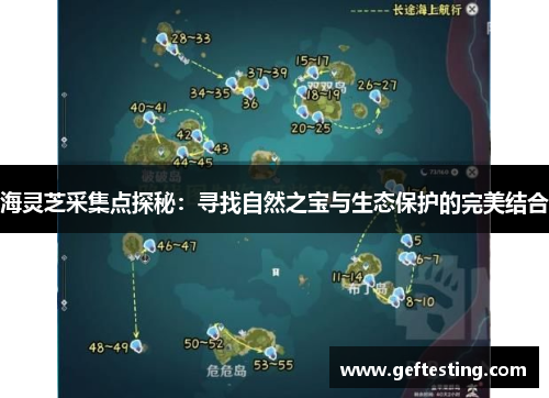 海灵芝采集点探秘：寻找自然之宝与生态保护的完美结合